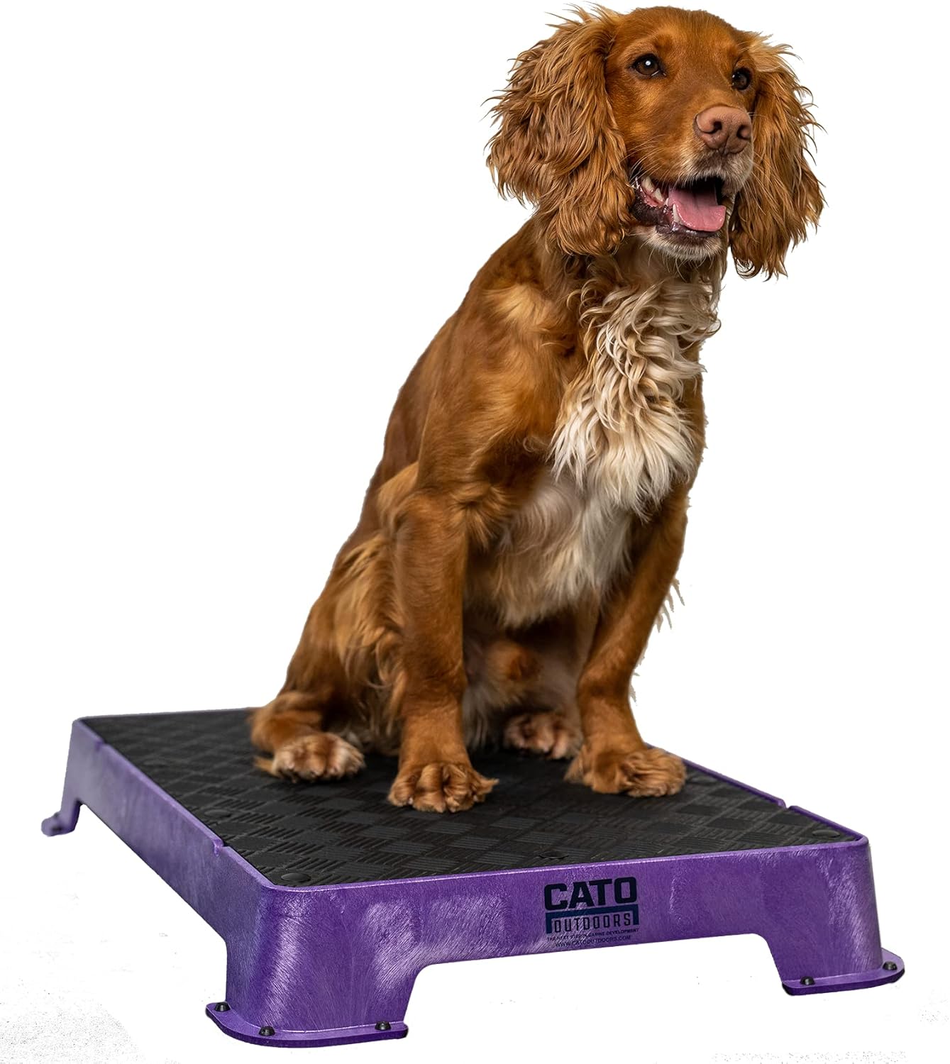 Physical Stimulation — Revival Dog Training trainer-approved